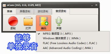 錄屏小將 ocam 全能錄屏、截圖與錄音的得力助手